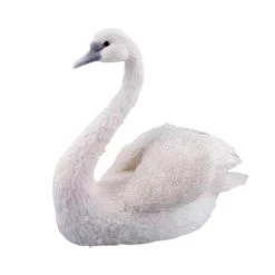 The Christmas Palace 21" WHITE ELEGANT SWAN