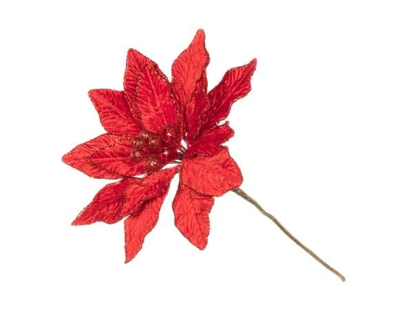 The Christmas Palace 9" RED VELVET POINSETTIA PICK SET OF 6 Yuletide Traditions 1 The Christmas Palace 9" RED VELVET POINSETTIA PICK SET OF 6 Yuletide Traditions