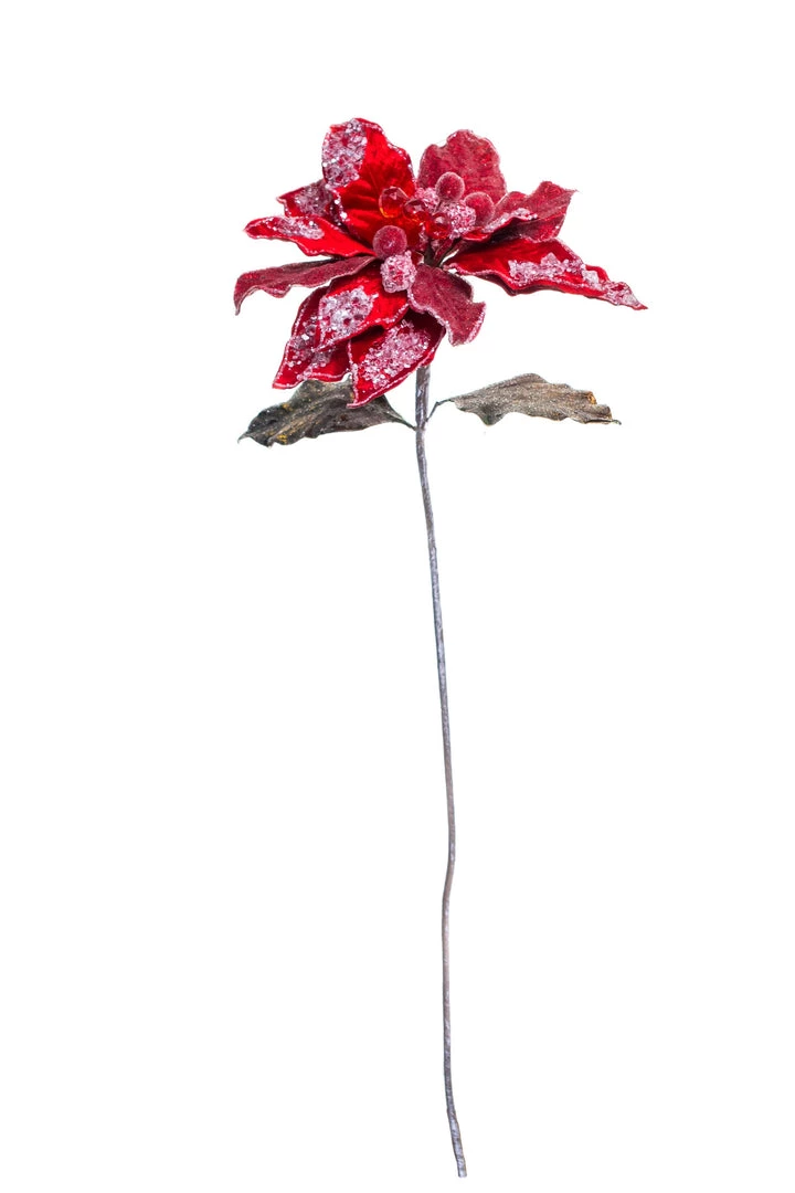 The Christmas Palace 28" RED ICY POINSETTIA STEM SET OF 4 1 The Christmas Palace 28" RED ICY POINSETTIA STEM SET OF 4