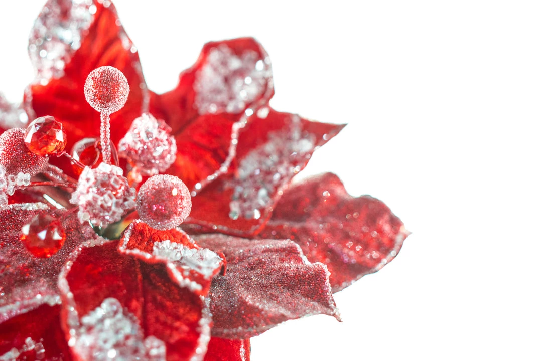 The Christmas Palace 28" RED ICY POINSETTIA STEM SET OF 4 3 The Christmas Palace 28" RED ICY POINSETTIA STEM SET OF 4