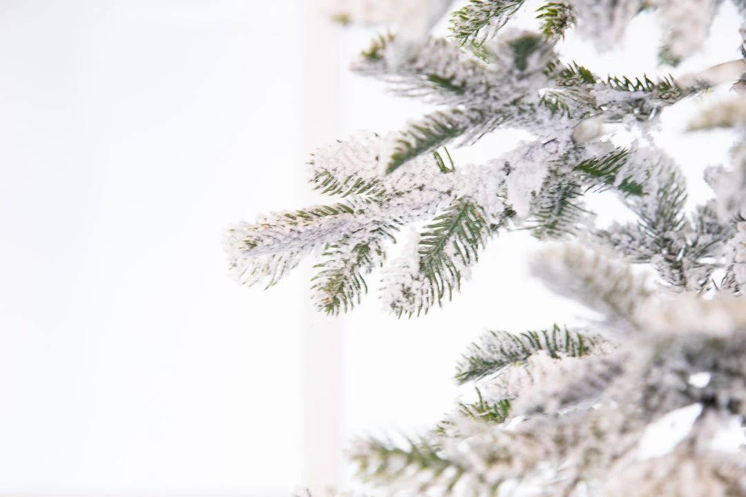 The Christmas Palace CHRISTMAS TREES 6 FT ALPINE FIR SNOWY TREE UNLIT 4 The Christmas Palace CHRISTMAS TREES 6 FT ALPINE FIR SNOWY TREE UNLIT