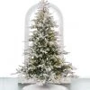 The Christmas Palace 7 FT GRANDIS FIR SNOWY PRE LIT WARM WHITE MICRO LED