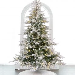 The Christmas Palace 7 FT GRANDIS FIR SNOWY PRE LIT WARM WHITE MICRO LED