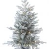 The Christmas Palace 3 FT FROSTED GRANDIS POTTED TREE PRE LIT WARM WHITE MICRO LED