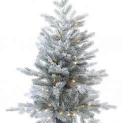 The Christmas Palace 3 FT FROSTED GRANDIS POTTED TREE PRE LIT WARM WHITE MICRO LED