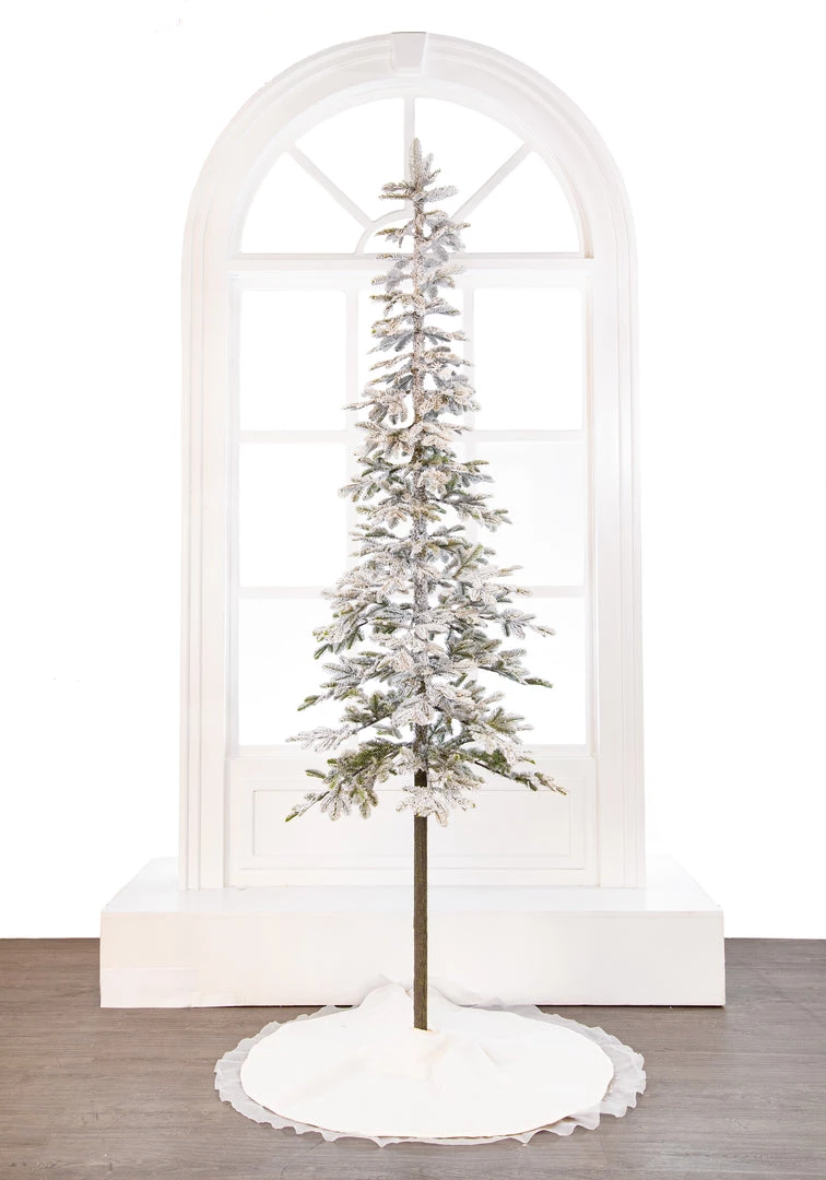 The Christmas Palace CHRISTMAS TREES 6 FT ALPINE FIR SNOWY TREE PRE LIT WARM WHITE LIGHTS 1 The Christmas Palace CHRISTMAS TREES 6 FT ALPINE FIR SNOWY TREE PRE LIT WARM WHITE LIGHTS