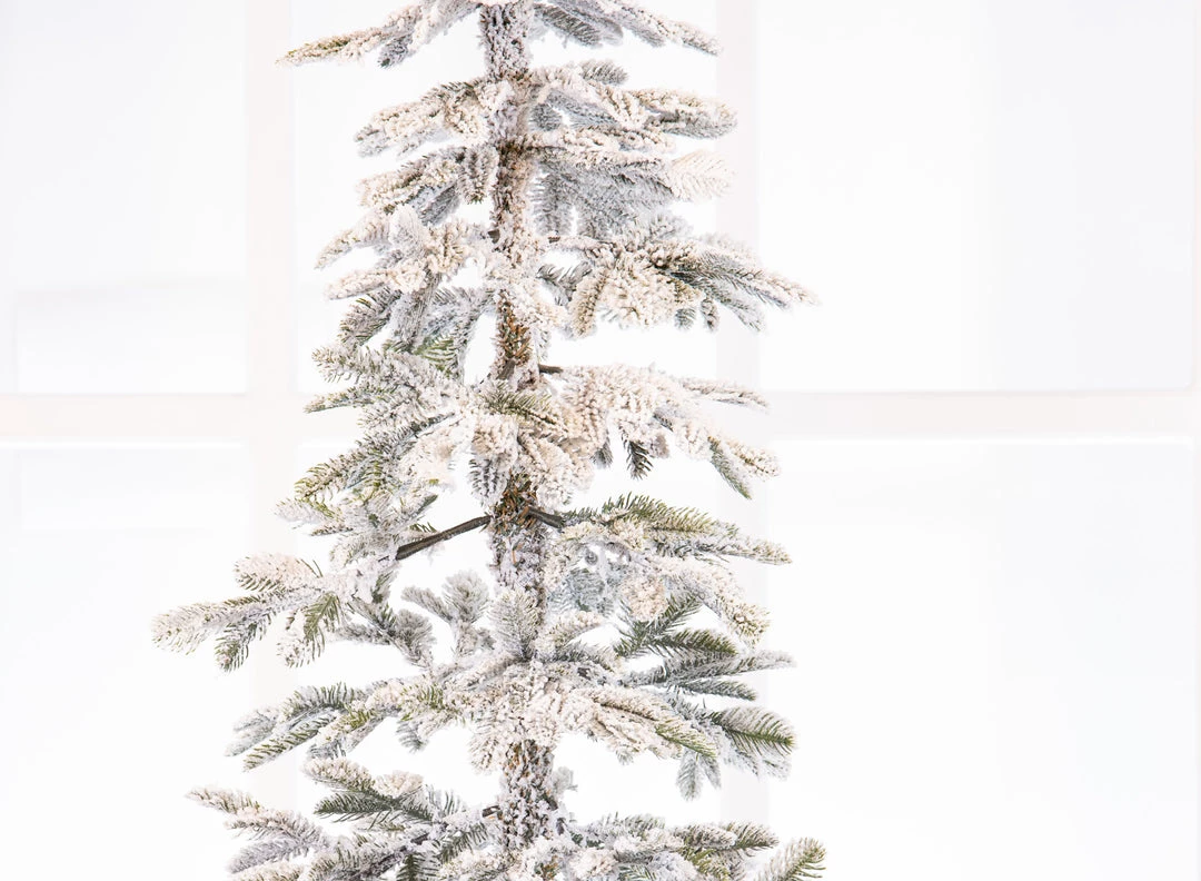 The Christmas Palace CHRISTMAS TREES 6 FT ALPINE FIR SNOWY TREE PRE LIT WARM WHITE LIGHTS 2 The Christmas Palace CHRISTMAS TREES 6 FT ALPINE FIR SNOWY TREE PRE LIT WARM WHITE LIGHTS