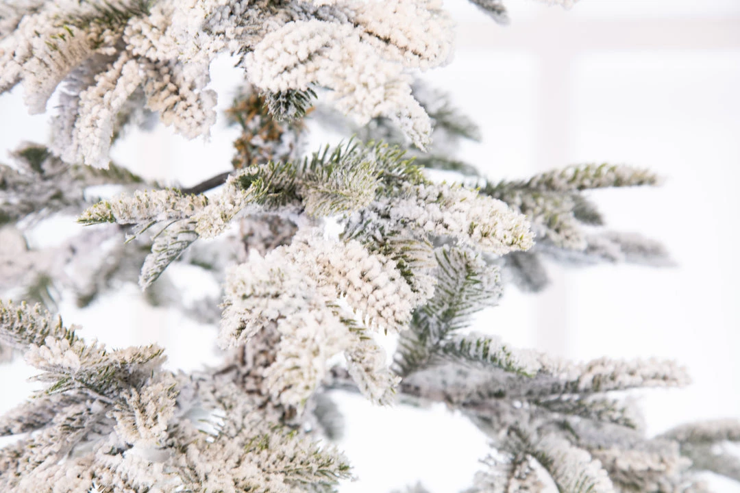 The Christmas Palace CHRISTMAS TREES 6 FT ALPINE FIR SNOWY TREE PRE LIT WARM WHITE LIGHTS 3 The Christmas Palace CHRISTMAS TREES 6 FT ALPINE FIR SNOWY TREE PRE LIT WARM WHITE LIGHTS