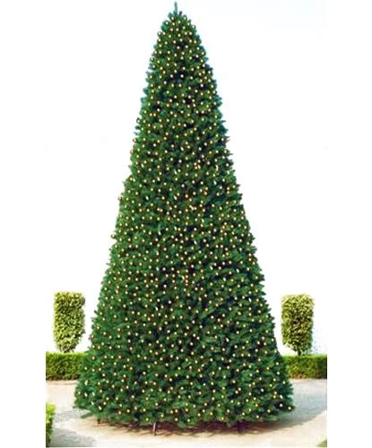 The Christmas Palace 14 FT OLYMPIA TREE PRELIT WARM WHITE LED CHRISTMAS TREES 1 The Christmas Palace 14 FT OLYMPIA TREE PRELIT WARM WHITE LED CHRISTMAS TREES