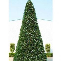 The Christmas Palace 30 FT OLYMPIA TREE PRELIT WARM WHITE LED
