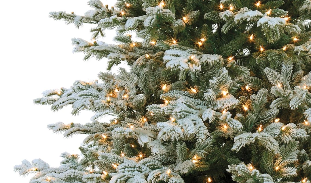 The Christmas Palace 9.5 FT VAIL SNOW PINE SLIM TREE PRE LIT WARM WHITE LED CHRISTMAS TREES 2 The Christmas Palace 9.5 FT VAIL SNOW PINE SLIM TREE PRE LIT WARM WHITE LED CHRISTMAS TREES