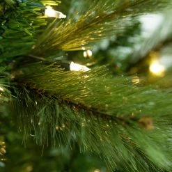 The Christmas Palace CHRISTMAS TREES 7.5 FT CHARLESTON SLIM TREE PRE LIT CLEAR LIGHTS 6 The Christmas Palace CHRISTMAS TREES 7.5 FT CHARLESTON SLIM TREE PRE LIT CLEAR LIGHTS