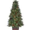 The Christmas Palace 5 FT POTTED FOREST BERRY FIR TREE PRELIT CLEAR LED LIGHTS