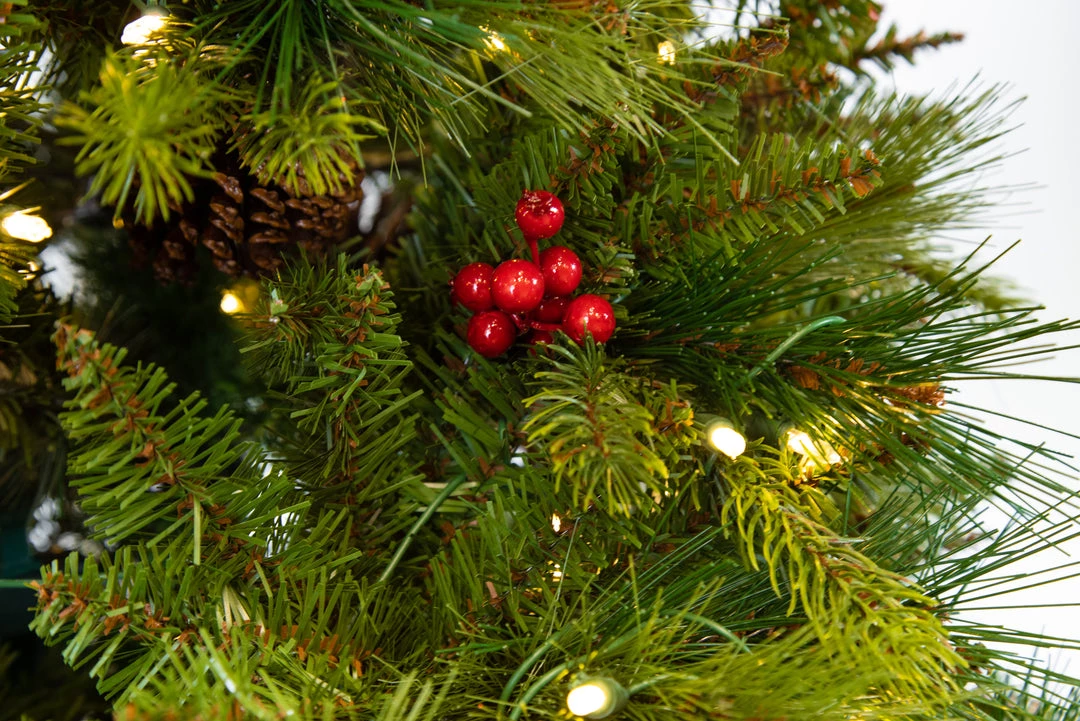 The Christmas Palace 5 FT POTTED FOREST BERRY FIR TREE PRELIT CLEAR LED LIGHTS 2 The Christmas Palace 5 FT POTTED FOREST BERRY FIR TREE PRELIT CLEAR LED LIGHTS