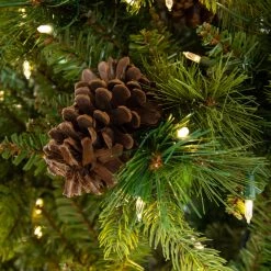 The Christmas Palace 5 FT POTTED FOREST BERRY FIR TREE PRELIT CLEAR LED LIGHTS 7 The Christmas Palace 5 FT POTTED FOREST BERRY FIR TREE PRELIT CLEAR LED LIGHTS