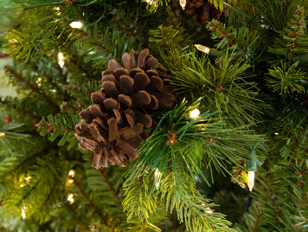 The Christmas Palace 5 FT POTTED FOREST BERRY FIR TREE PRELIT CLEAR LED LIGHTS 4 The Christmas Palace 5 FT POTTED FOREST BERRY FIR TREE PRELIT CLEAR LED LIGHTS