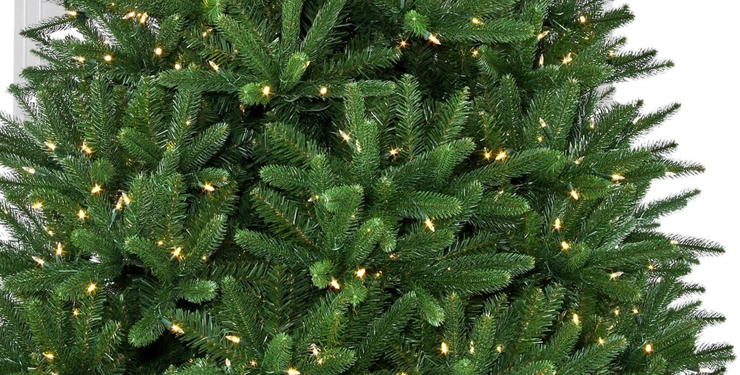 The Christmas Palace 12 FT ROYAL FIR TREE PRELIT WARM WHITE LED LIGHTS 2 The Christmas Palace 12 FT ROYAL FIR TREE PRELIT WARM WHITE LED LIGHTS