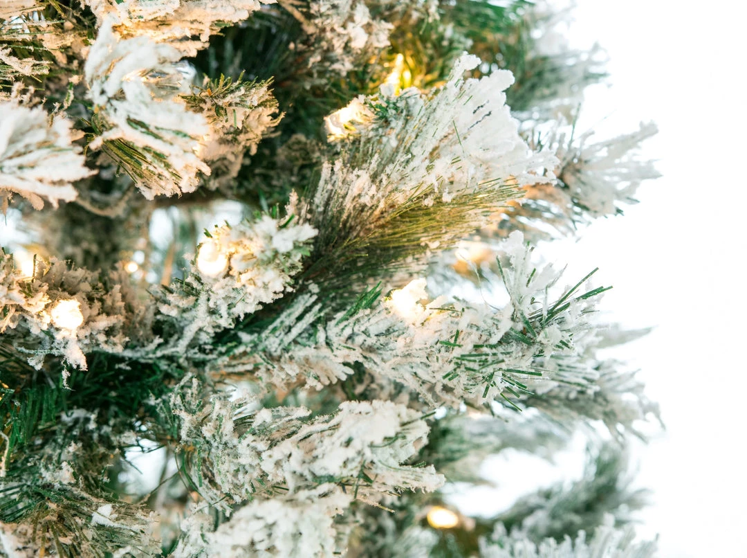 The Christmas Palace 5 FT FLOCKED TREE PRE LIT CLEAR LIGHTS CHRISTMAS TREES 2 The Christmas Palace 5 FT FLOCKED TREE PRE LIT CLEAR LIGHTS CHRISTMAS TREES