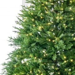 The Christmas Palace 12 FT KENTUCKY FIR TREE PRE LIT WARM WHITE CHRISTMAS TREES 5 The Christmas Palace 12 FT KENTUCKY FIR TREE PRE LIT WARM WHITE CHRISTMAS TREES