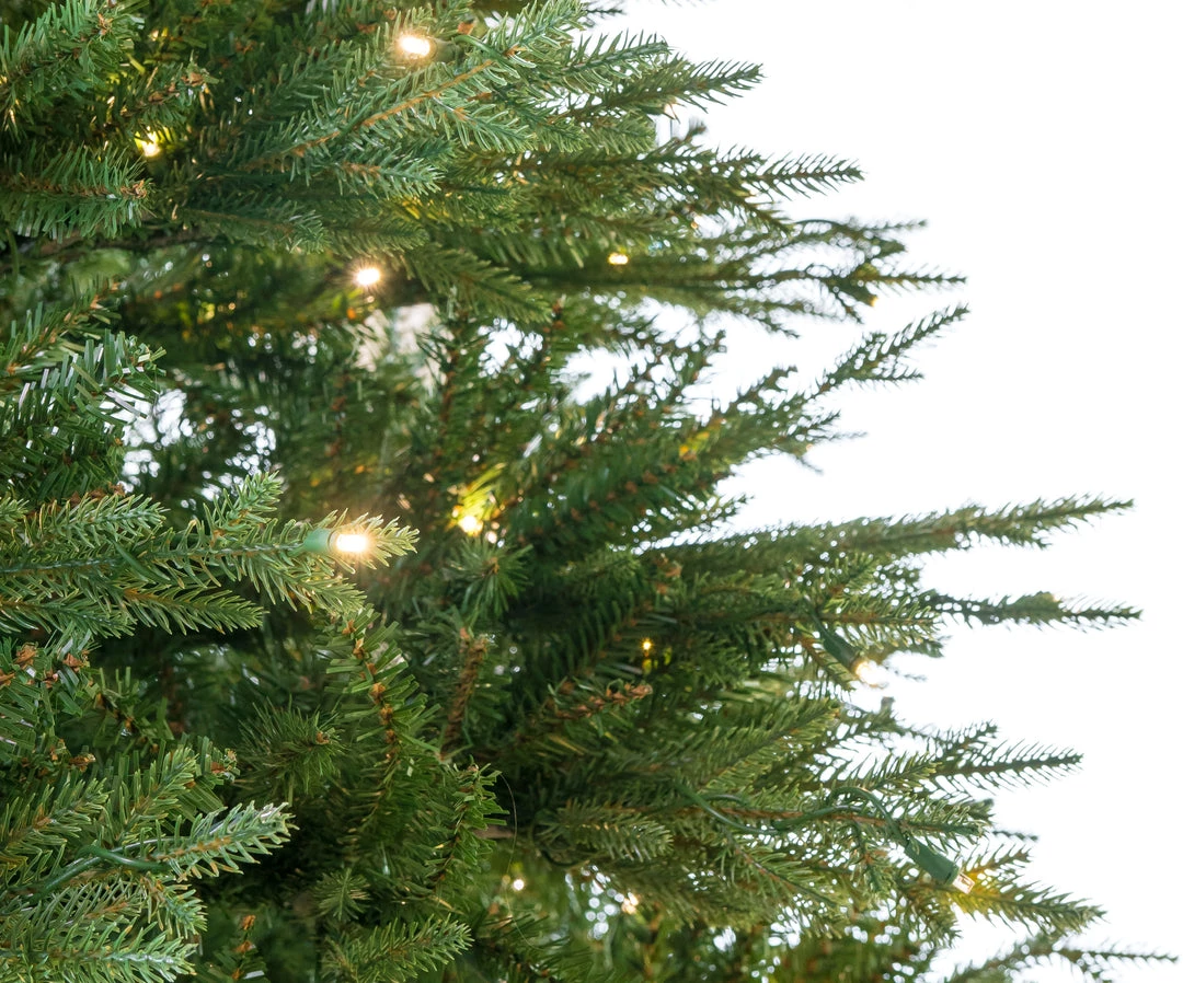 The Christmas Palace CHRISTMAS TREES 7.5 FT KENTUCKY FIR TREE PRE LIT WARM WHITE 3 The Christmas Palace CHRISTMAS TREES 7.5 FT KENTUCKY FIR TREE PRE LIT WARM WHITE