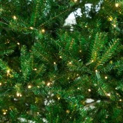The Christmas Palace CHRISTMAS TREES 6.5 FT OREGON FIR TREE PRE LIT WARM WHITE LED LIGHTS