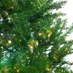 The Christmas Palace CHRISTMAS TREES 6.5 FT OREGON FIR TREE PRE LIT WARM WHITE LED LIGHTS