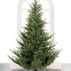 The Christmas Palace 7 FT NORWAY SPRUCE TREE PRE LIT WARM WHITE LED LIGHTS CHRISTMAS TREES