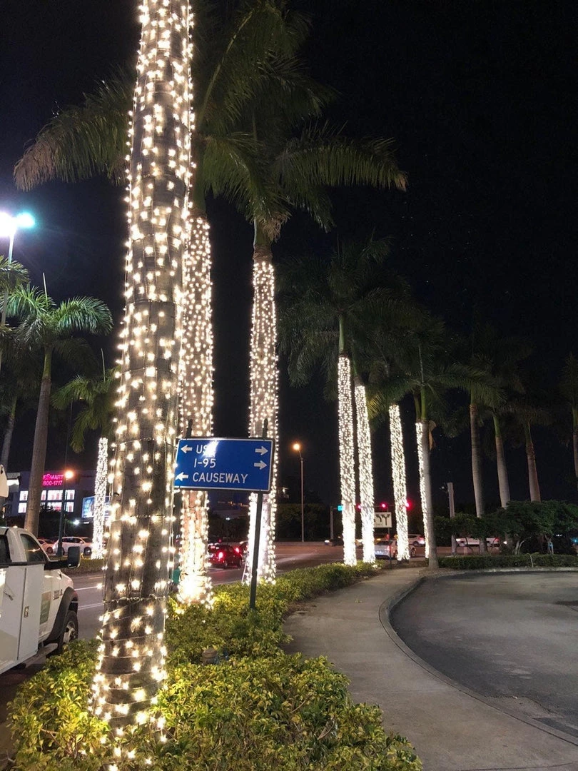 The Christmas Palace CHRISTMAS LIGHTS WARM WHITE LED TRUNK LIGHT GRAY NET 5FT X 36"-70" 2 The Christmas Palace CHRISTMAS LIGHTS WARM WHITE LED TRUNK LIGHT GRAY NET 5FT X 36"-70"