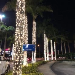 The Christmas Palace WARM WHITE LED TRUNK LIGHT GRAY NET 20FT X 18"-36" CHRISTMAS LIGHTS