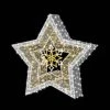 The Christmas Palace 8 X 8 FT WARM WHITE LED STAR 120V