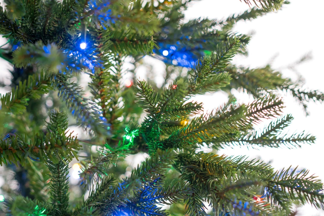 The Christmas Palace Gilded Elegance 12 FT RUSSIAN FIR SLIM PRE LIT CLEAR & MULTI COLOR LED LIGHTS 2 The Christmas Palace Gilded Elegance 12 FT RUSSIAN FIR SLIM PRE LIT CLEAR & MULTI COLOR LED LIGHTS