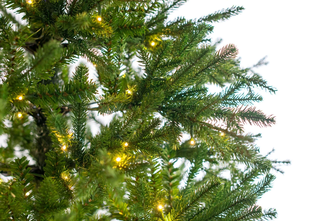 The Christmas Palace 12 FT RUSSIAN PRE LIT CLEAR & MULTI COLOR LED LIGHTS CHRISTMAS TREES 3 The Christmas Palace 12 FT RUSSIAN PRE LIT CLEAR & MULTI COLOR LED LIGHTS CHRISTMAS TREES