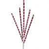 The Christmas Palace 24" FROSTED PEPPERMINT STICK X5 SPRAY SET OF 12