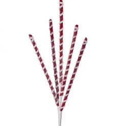 The Christmas Palace 24" FROSTED PEPPERMINT STICK X5 SPRAY SET OF 12