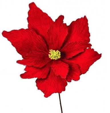 The Christmas Palace Flowers 36" RED GLITTER EDGED POINSETTIA SET OF 6 1 The Christmas Palace Flowers 36" RED GLITTER EDGED POINSETTIA SET OF 6