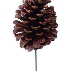 The Christmas Palace 4" LACQUERED PINE CONE PICK SET OF 12