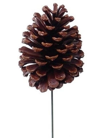 The Christmas Palace 4" LACQUERED PINE CONE PICK SET OF 12 1 The Christmas Palace 4" LACQUERED PINE CONE PICK SET OF 12