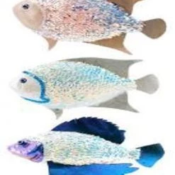 The Christmas Palace MARK ROBERTS 9" GLITTERED FISH ORNAMENT ASSORTED SET OF 3 Christmas Ornaments
