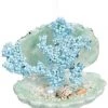 The Christmas Palace Christmas Ornaments MARK ROBERTS 4.5" SMALL BLUE CORAL SHELL ORNAMENT SET OF 4