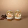 The Christmas Palace 6.3" BATTERY OPERATED WATER GLOBE ASSORTED SET OF 2 Water Lanterns