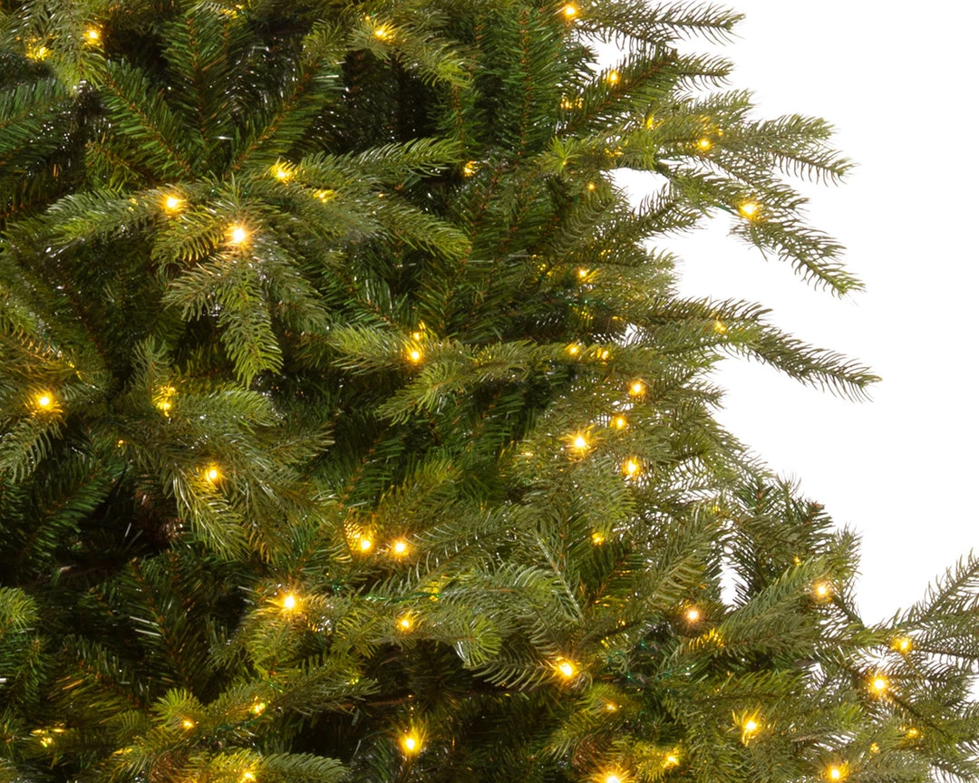 The Christmas Palace 5 FT GRANDIS FIR PRE LIT WARM WHITE MICRO LED 2 The Christmas Palace 5 FT GRANDIS FIR PRE LIT WARM WHITE MICRO LED