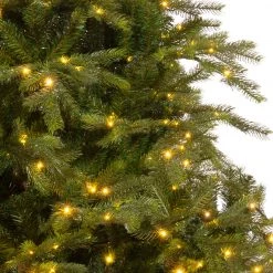 The Christmas Palace 7 FT GRANDIS FIR PRE LIT WARM WHITE MICRO LED