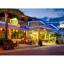 The Christmas Palace 16 FT LED NEONFLEX BLUE